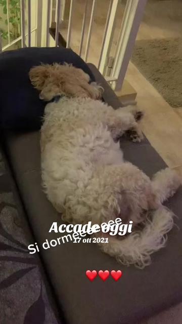 @Micina&mdash; annamaria