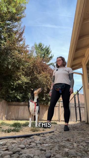 @lauren | dog behavior pro