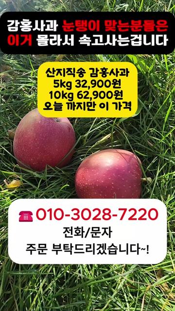 @프루트빌리지