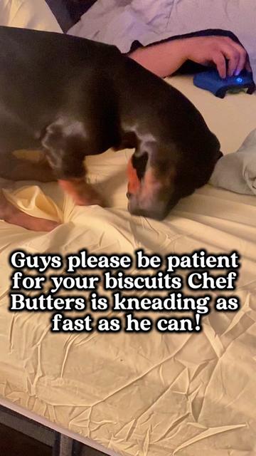 @ruledbyhounds