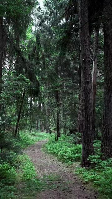 @😈🌲ЛЕСНИЧИЙ | СЛАВЯНИН🐻🐺