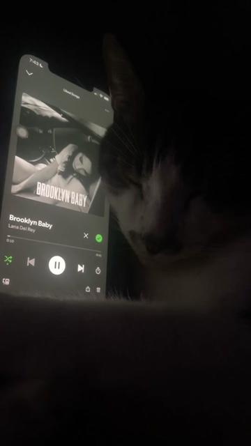 @sleepycatwithmusic