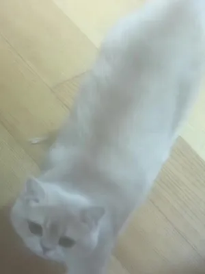 @uhgfr5