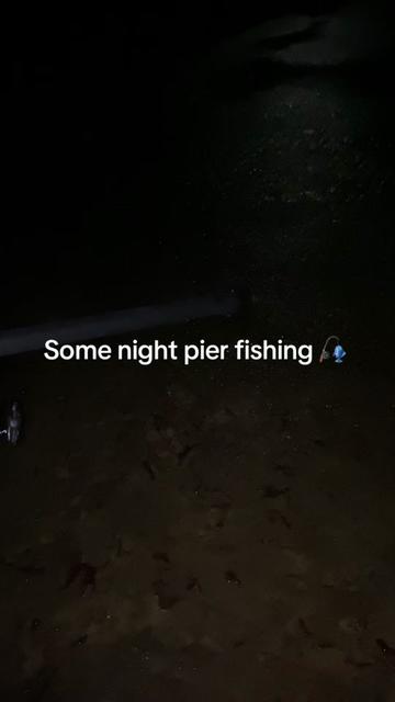@alfie_fishes_