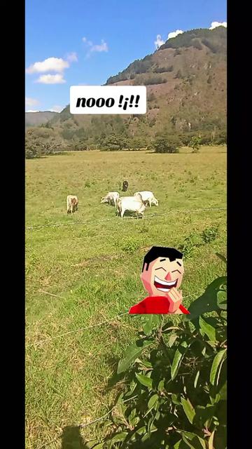 @๐๐๐ฉ ๐ด ๐ท ๐ฎ ๐ธ ๐ซฃ๐
