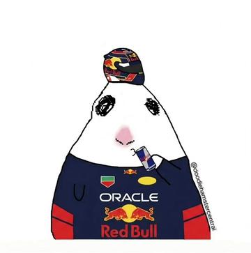 @doodlehamster
