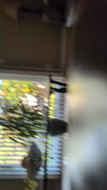 @Ohio Dino