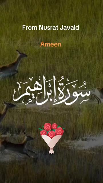 @nusrat