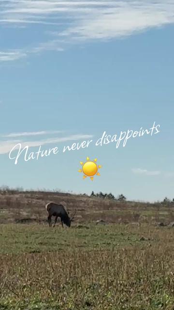 @Amber| RN 🩺