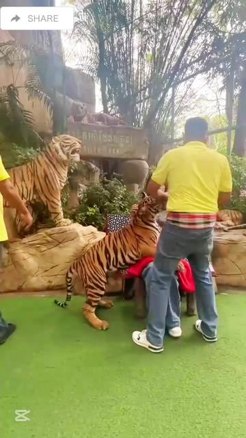 @liujiangyu