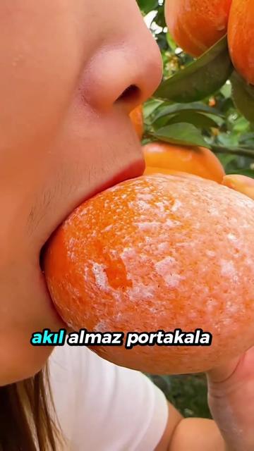 @beynegrafya
