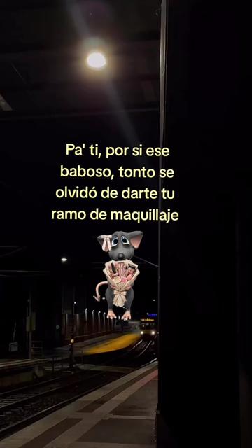 @๏ธ
