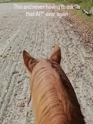 @Beth - Epona Media