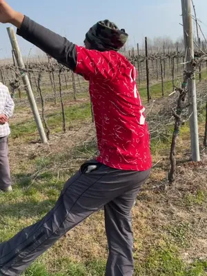 @Italyharyanvi01
