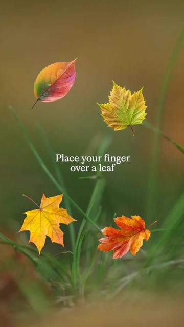 @Calm