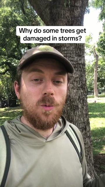 @Andrew The Arborist