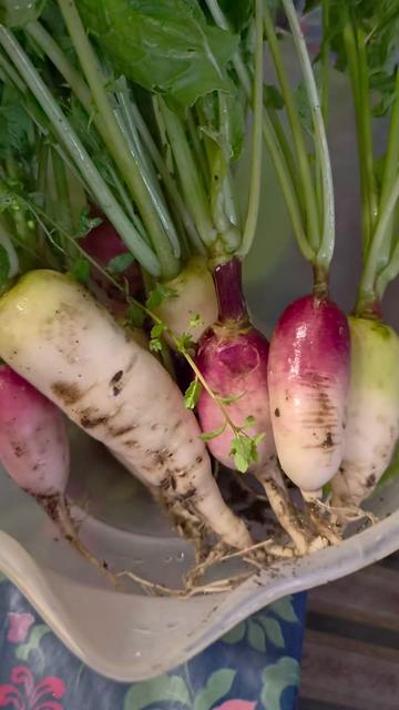 @Muhammad subhan uk