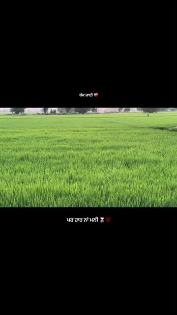 @ਓਹ ਕਹਿੰਦਾ 🌾