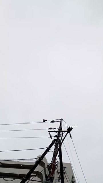 @Solo_traveler