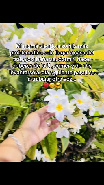 @Nathy VB