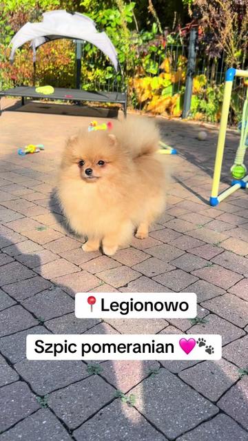 @Ulybki_lilu
