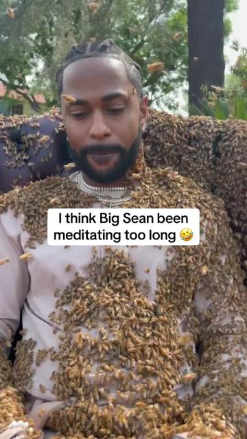 @seandonnboi