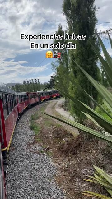 @⚔️MaryTravel Ec🌎🇪🇨