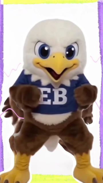 @Eagle Bounce