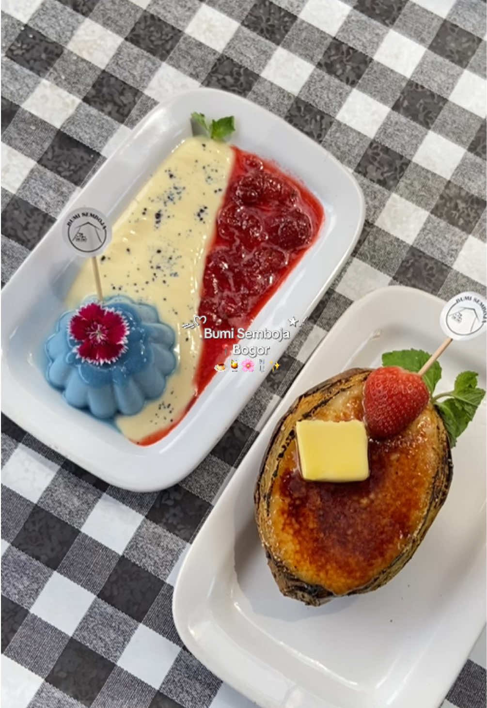 @yoland⋆౨ৎ˚