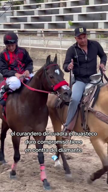 @carriles altos de jalisco🐎