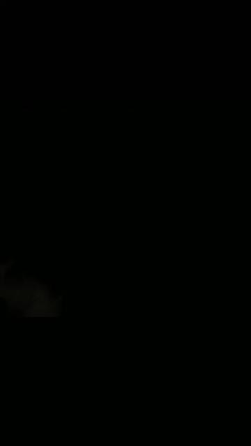 @𝓓𝓪𝓷𝓪 ✨🐼