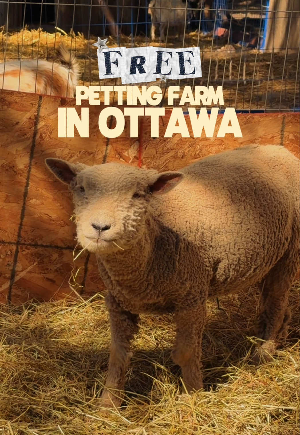 @Ottawalist