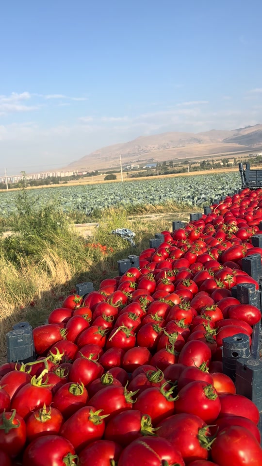@Rıdvan Öztürk