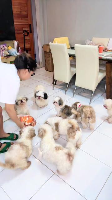 @FURMOMKHAI&BATUTA ONLY ACCT‼️