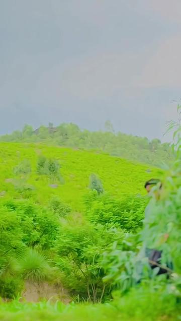 @꧁ ͡𝐌K 🤫 با غی꧂