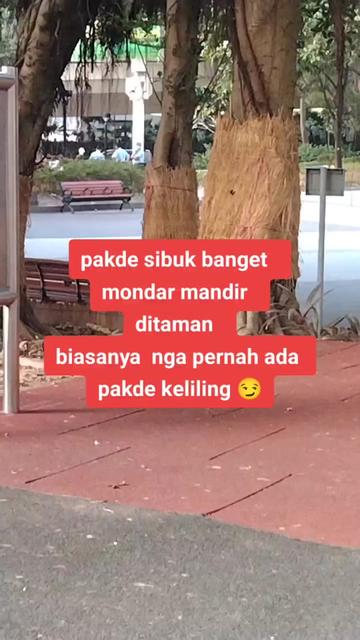 @Bagus