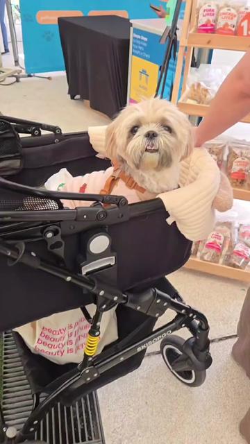 @makeandbakeforpets