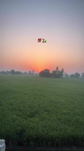 @MOGEWALA
