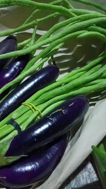 @lyn lyn