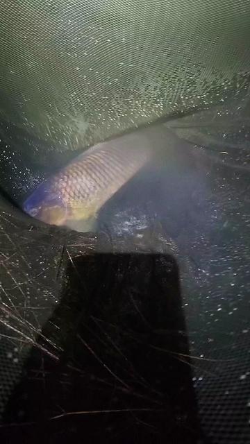 @Jocarpfishing