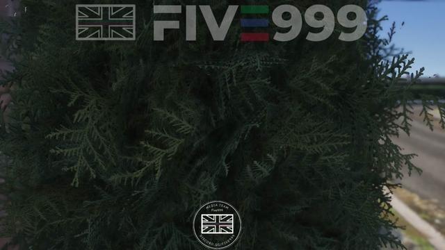 @Five999