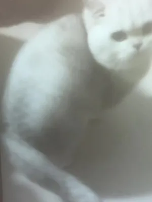 @uhgfr5