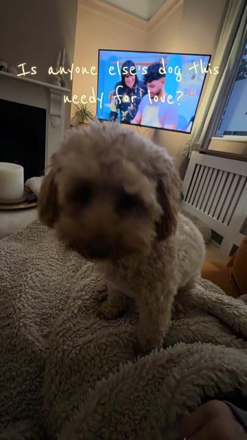 @MilneandMutt