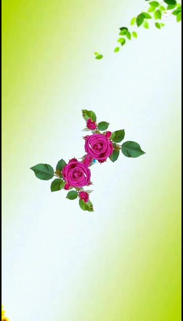 @Sachin Kumar