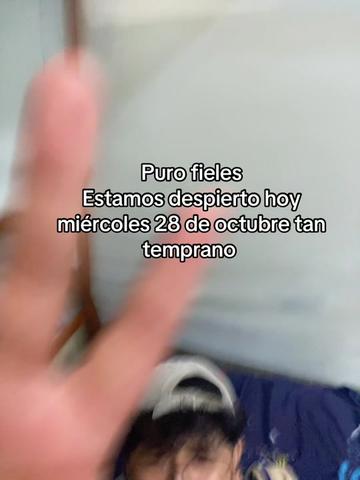 @Alexcastro