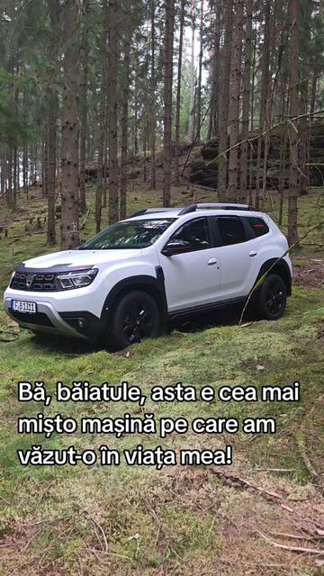 @ionuthabuc_duster_fan