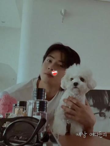 @ᥫ᭡rous_aroamyᥫ᭡
