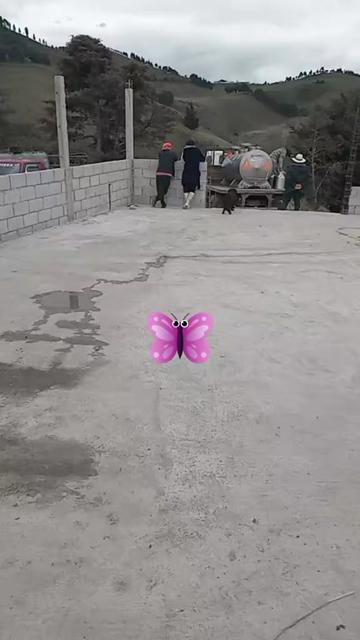 @Transito tenezaca