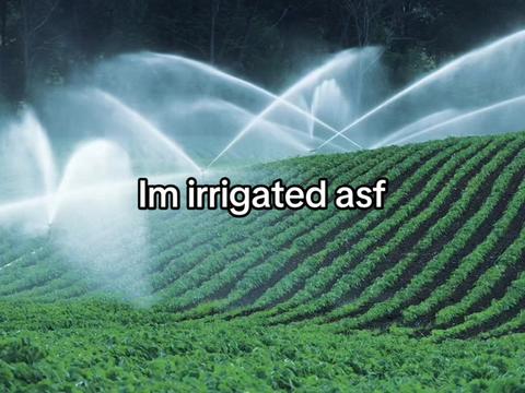 @D>E>V>I>N