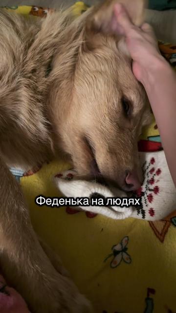 @marochkinaelena